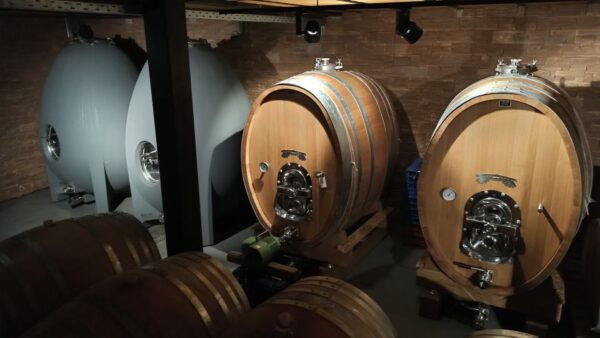 Kefalonia: Greek Wine Tasting at Sclavos Winery Near Lixouri - Additional Information and Exclusions