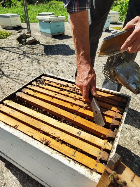 Kefalonia Honey Tour on E-Bikes - Good To Know