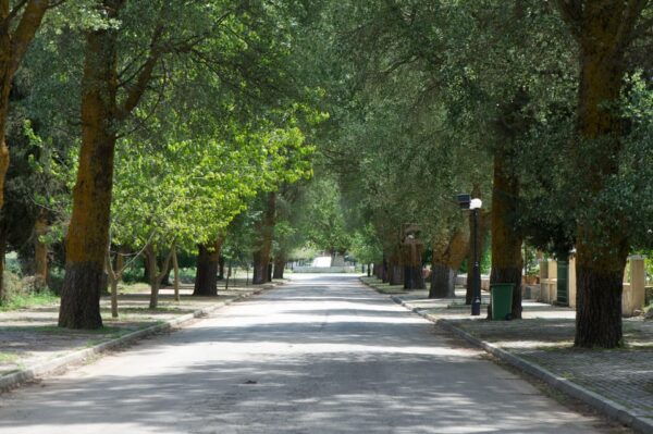 KEFALONIA: WINE TASTING TOUR - Booking Information