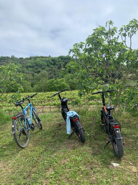 Kefalonia Wine Tour on E-Bikes - Group Size and Languages
