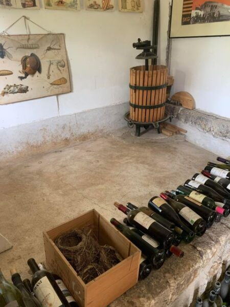 Kefalonia Wine Tour on E-Bikes - Inclusions