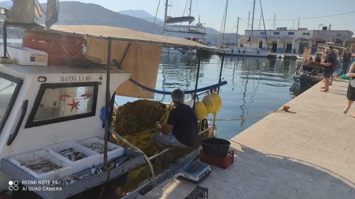 Kefalonia:Private Half-Day Sightseeing Tour& Shore Excursion - Final Thoughts