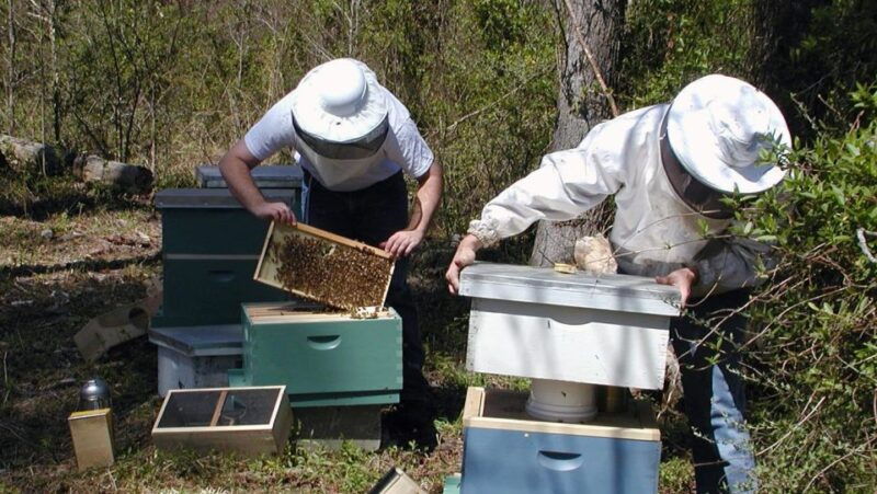Kefalonia:Private Olive Oil, Honey & Wine Tasting Experience - Who Is This Tour Best For?
