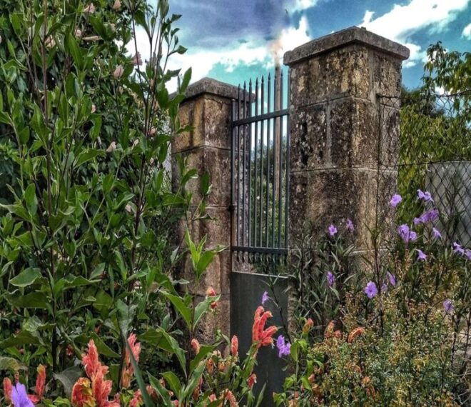 Kefalonias Cultural Wonders and Culinary Delights - Traditional Greek Cuisine Indulgence