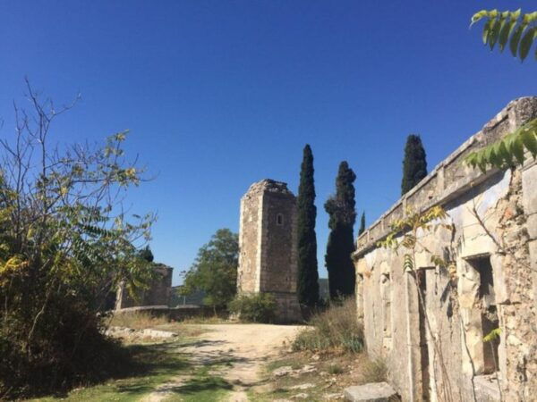 Kefalonia's Cultural Wonders and Culinary Delights - Dietary Requirements: Allergies and Restrictions