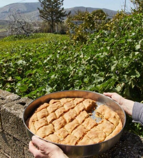 Kefalonia's Cultural Wonders and Culinary Delights - Customer Testimonials: Highly Recommended Experience