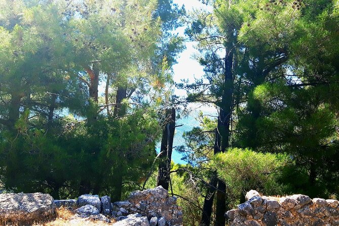 Kefalonias Hidden Gems - Culture and Culinary Delights - Traditional Greek Cuisine