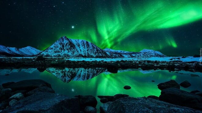 Keflavik Airport Transfer to Reykjavik - Customer Feedback Highlights
