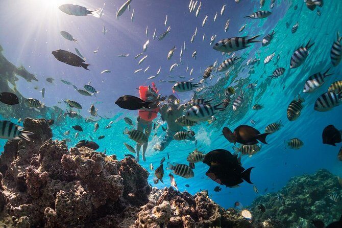 Keishi Tour Half Day Shared Excursion - Good To Know