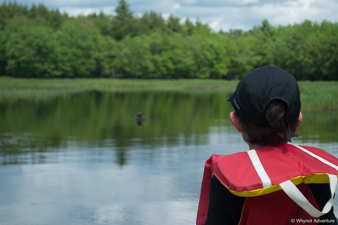 Kejimkujik National Park Paddling Adventure - Overview and Description