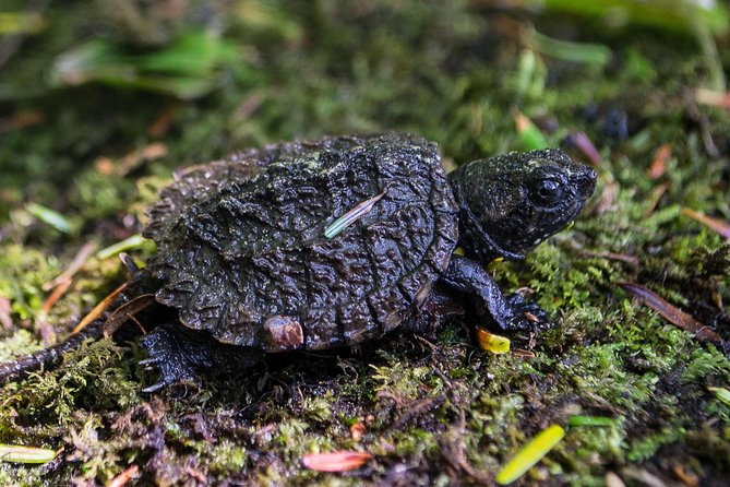 Kejimkujik National Park Paddling Adventure - Reviews