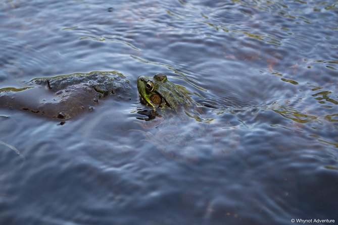 Kejimkujik National Park Paddling Adventure - Pricing and Terms