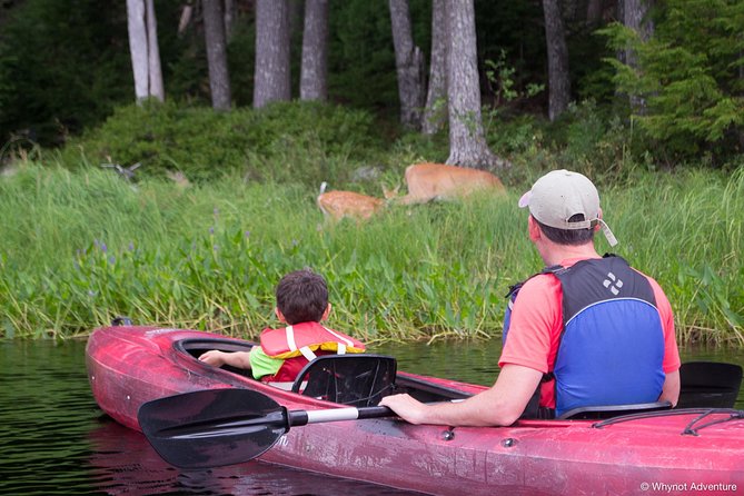 Kejimkujik National Park Paddling Adventure - Common Questions
