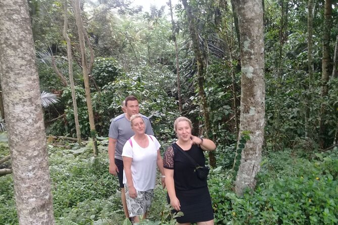 Keliki Village Tour And Rice Field Walk Including Lunch Or Dinner - Tour Overview