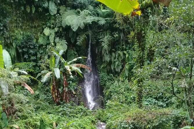 Keliki Village Tour And Rice Field Walk Including Lunch Or Dinner - Keliki Village Exploration