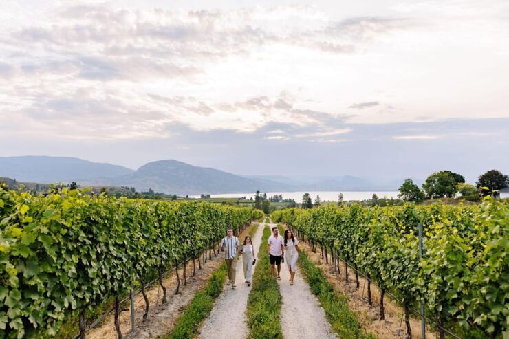 Kelowna: A Day on Naramata Bench - Five Handpicked Wineries