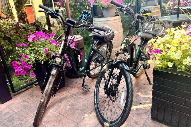 Kelowna E-Bike Bee Tour With Tastings, Lunch & Audio Guide - Common Questions