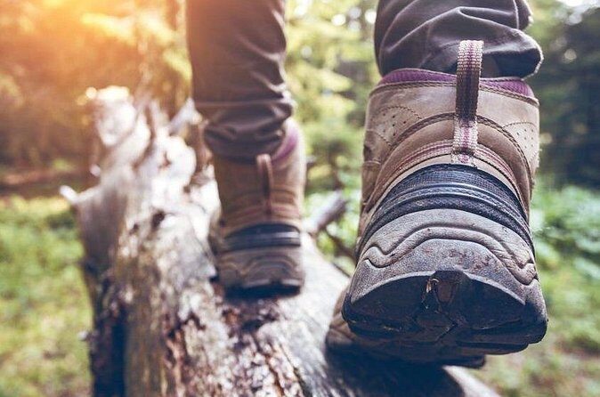 Kelowna Guided Hiking Experience - Real Experiences from Past Participants