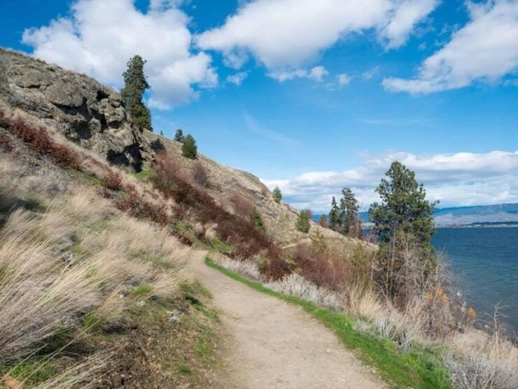 Kelowna: Guided Hiking Tour - Booking Information