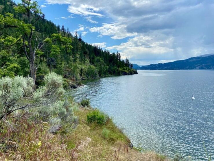 Kelowna: Okanagan Lake Guided E-Bike Tour With Picnic - Booking Details