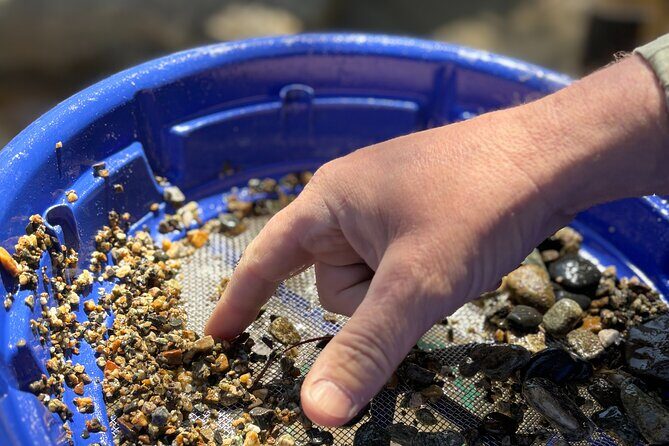 Kelowna Scenic Canyon Gold Panning Experience - Why This Gold Panning Tour Is Worth Your Time