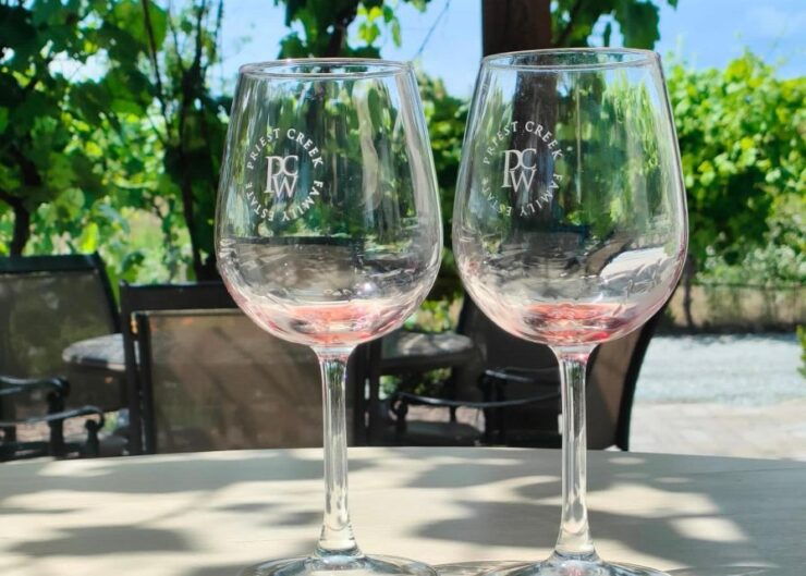 Kelowna: Wine Tasting by E-bike, Smartphone Guide & Lunch - Experience Highlights