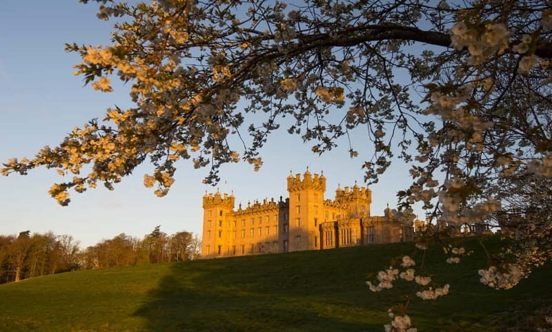 Kelso: Gardens & Grounds Ticket - The Sum Up