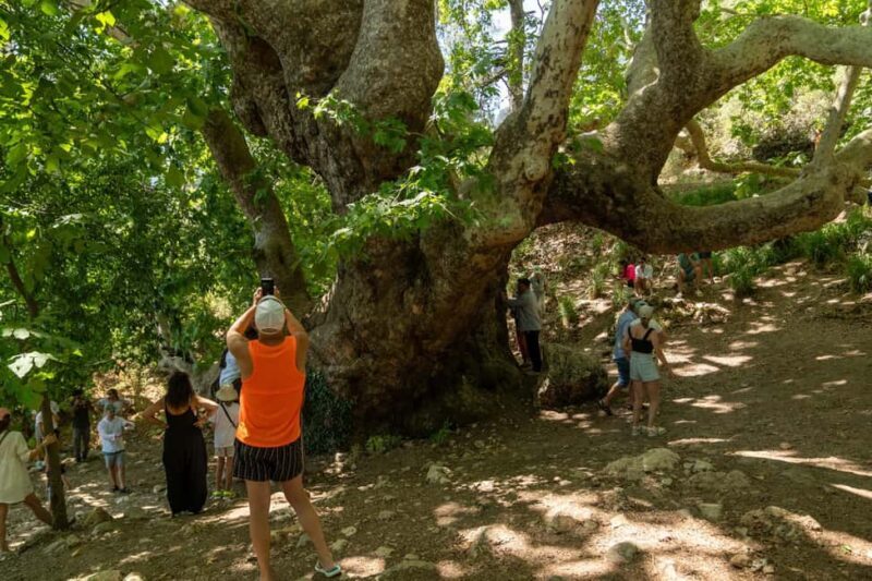 Kemer: Blue & Green Boat Trip and Jeep Safari with Lunch - Authentic Moments and Highlights