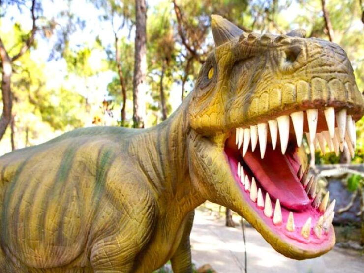 Kemer Dino Park Tour - Park Location and Size