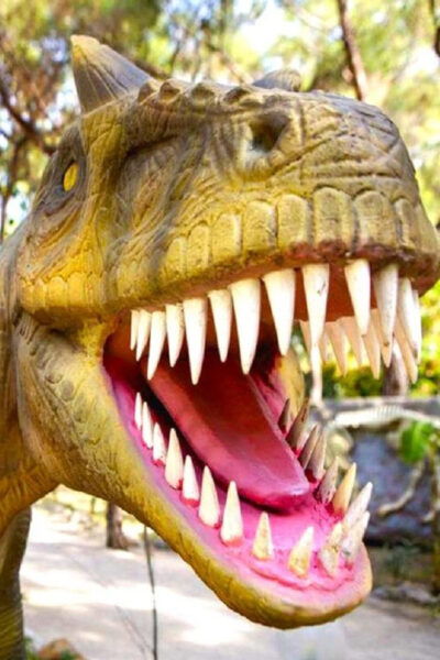 Kemer Dino Park Tour - Booking and Cancellation Policy