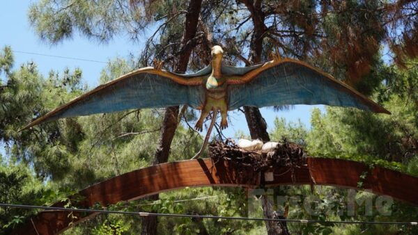 Kemer Dino Park Tour - Accessibility Information