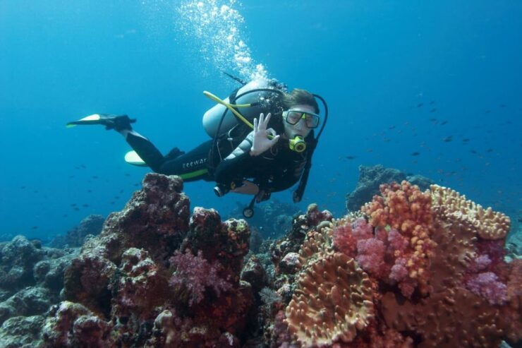 Kemer Full-Day Scuba Diving Adventure - Experience Highlights