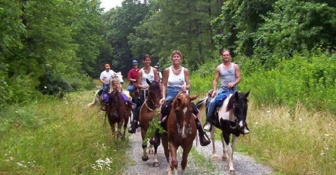 Kemer Horse Safari, Pick up From Kiris, Beldibi, Goynuk - Scenic Highlights of the Tour