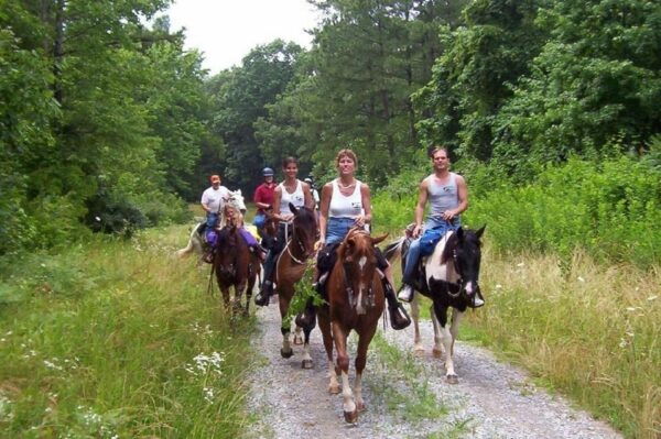 Kemer Horse Safari, Pick up From Kiris, Beldibi, Goynuk - Customer Experiences and Ratings