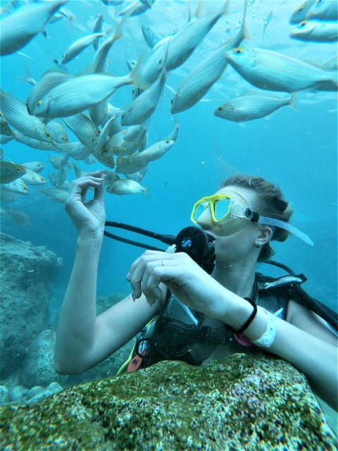 Kemer: Scuba Diving Experience in Aquarium and Kiris Bays - Introduction: Why This Tour Stands Out in Kemer
