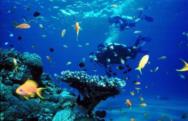 Kemer Scuba Diving With Expert Diving Option - Booking and Cancellation Policy