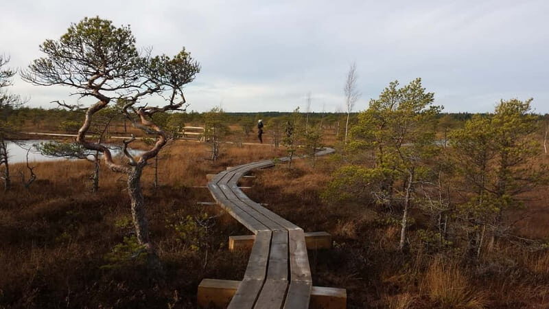 Kemeri National Park & Baltic Seaside Tour Bog Boardwalk - FAQ