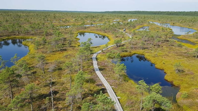 Kemeri National Park Bog Trail near Riga - Introduction