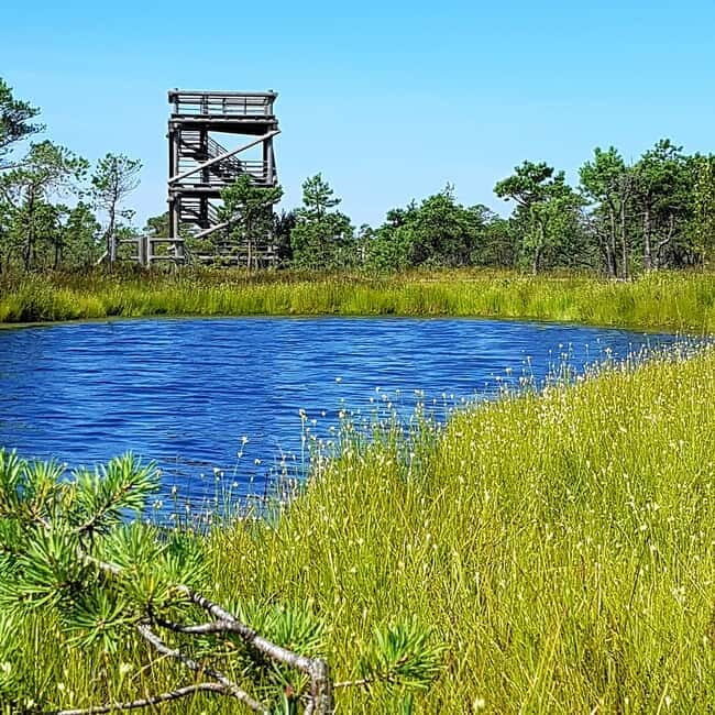 Kemeri National Park Bog Trail near Riga - Why This Tour Is Worth It