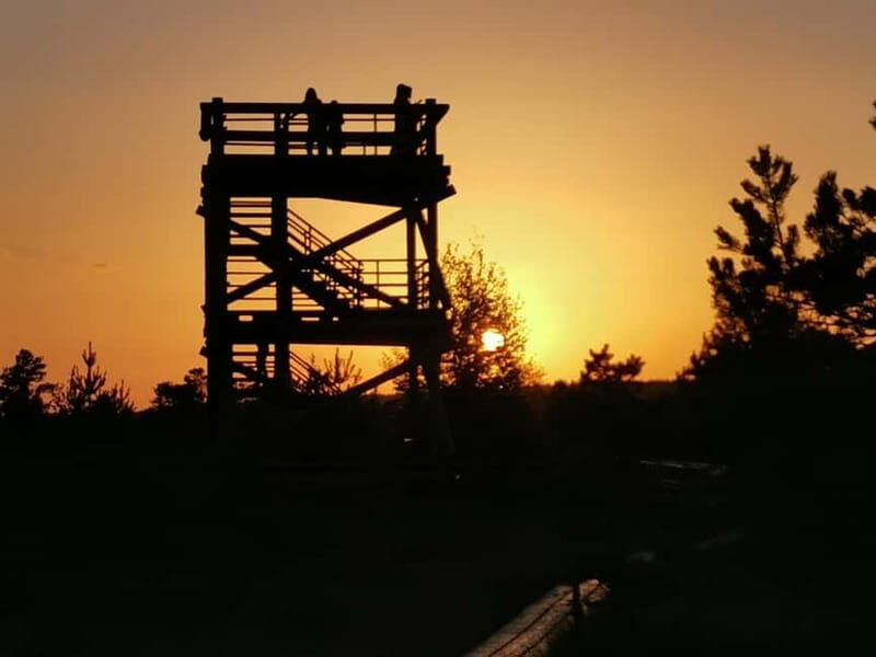 Kemeri National Park Bog Trail near Riga - Who Is This Tour Best For?