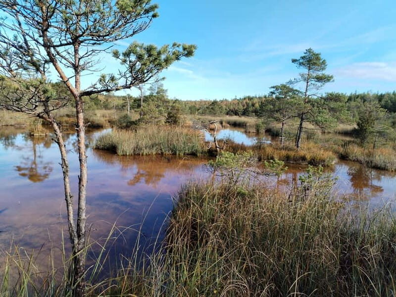 Kemeri National park Hiking trail (16 km) - Discovering Kemeri National Park: A 16 km Hiking Adventure