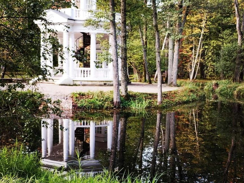 Kemeri National park Hiking trail (16 km) - What to Expect on the Kemeri National Park Hiking Tour