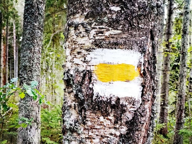 Kemeri National park Hiking trail (16 km) - Who Should Consider This Tour?