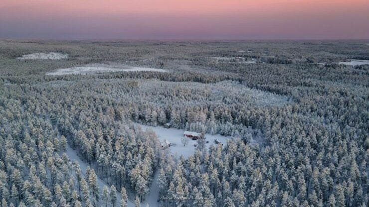 Kemi: Sleddog Husky Safari Incl. Hot Drink - Location Details in Kemi, Finland