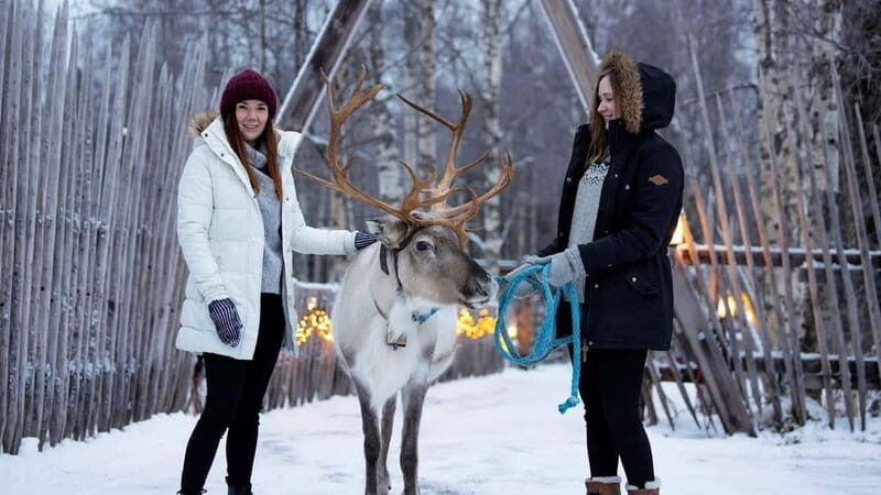 Kemi-Tornio: Reindeer farm experience - What to Expect From the Tour