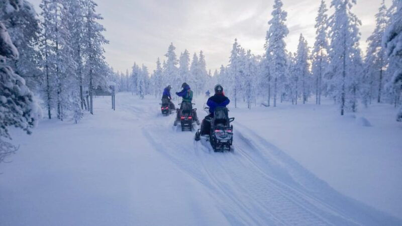 Kemi-Tornio: Snowmobile Forest Safari w/ Hot Drink & Snacks - Introduction