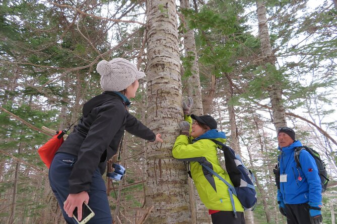 Kemonomichi Snowshoeing in the Virgin Forest - Directions