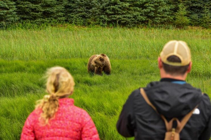 Kenai: Alaska Bear Hiking Experience by Plane - Cancellation Policy