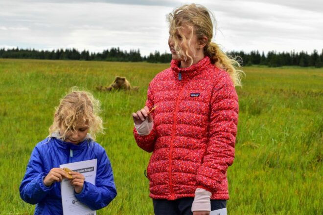 Kenai: Alaska Bear Hiking Experience by Plane - Check Availability