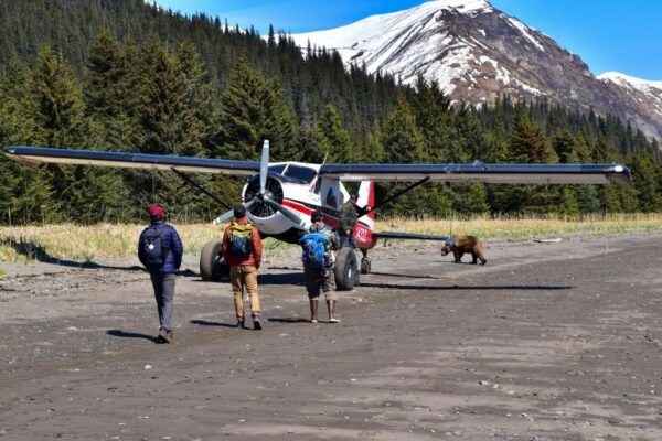 Kenai: Alaska Bear Hiking Experience by Plane - Additional Information